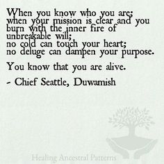 chief seattles speech quotes quotesgram native american chief seattle letter
