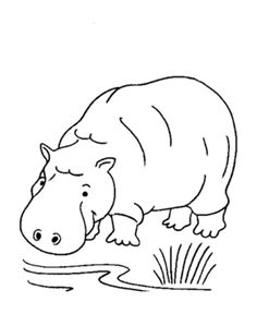 Wild Animal Coloring Page Free Printable Hippo Pages Featuring Hippopotamus Sheets