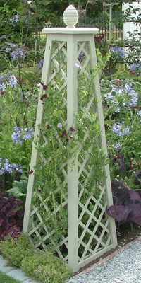 Obelisk Trellis, Garden Obelisk, Garden Arbor, Front Garden, Plant Trellis, Garden Fences, Herbs Garden, Garden Shrubs, Raised Garden