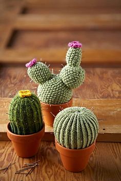 Randell 3D Printed T-Shirts Watercolor Collection of Cacti and Succulents Plants Short S