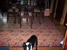24 Linoleum We Laid Ideas Linoleum Vintage House Linoleum Flooring