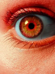 78 best eyes images
