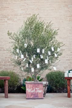 31 Best Wedding Wishing Trees Images I Want You Centrepieces Wedding Wishing Tree A Dutch Tradition For People To Do During The Reception