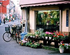 Words... super, fucks flower shop confirm. All Fucks flower shop