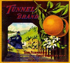 Santa Susana Humming Bird #1 Orange Citrus Fruit Crate Label Art Print