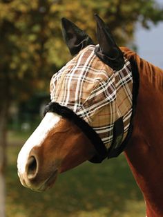 Kensington Side Pull Rope Training Halter with Double Filled Nylon Cord Citrus Slate Plaid Braided Nose Kensington Side Pull Rope Training Halter with Double Filled Nylon Cord Citrus Slate Plaid Braided Nose