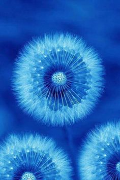 Blue gummy bears...nom, nom, nom! Would love some Myx to go with that! Cheers! Visit MYXFusions ...
