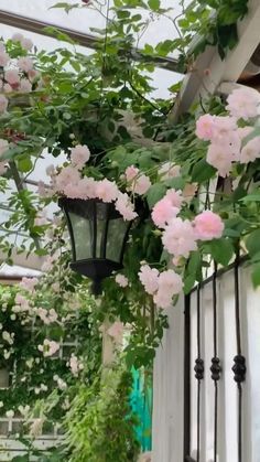 140 Front yard xeriscape ideas in 2021 | xeriscape, front yard, outdoor
