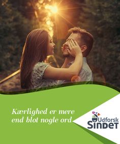 Pige mødes pige en dating survival guide