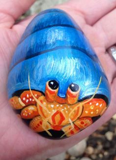 60 best hermit crabs