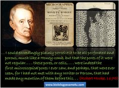 cell theory definition