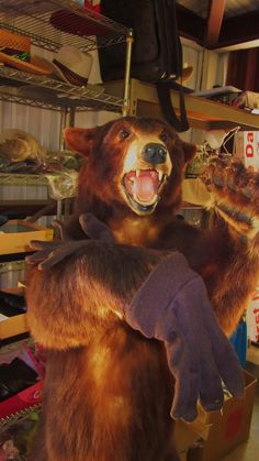 248 best canton first monday trade days images on pinterest