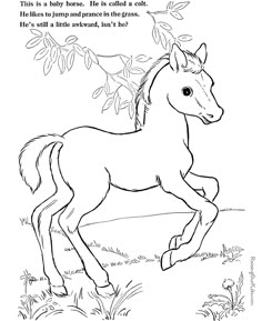ce cheval regarde un petit oiseau coloring pages pinterest farm coloring pages