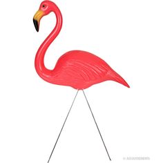 12 Best Plastic Flamingos Images Pink Greater Pink Plastic Flamingo Harper S Bazaar Flamingos Pretty