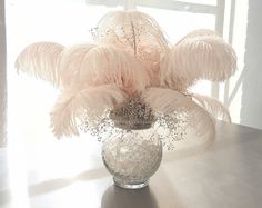 Ostrich Feathers 6-8inch Champagne Ostrich Feathers Plume for Wedding Centerpieces Home Vase Decoration per Pack of 20