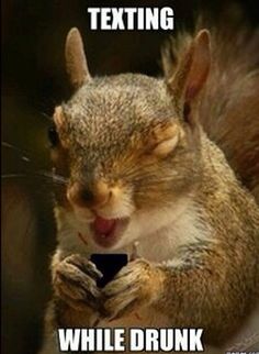 funny squirrels, funny squirrel photos, squirrel memes oh, so a8182b7831e87a58f800945137e79bcb drunk texts chipmunks funny squirrels, funny squirrel photos, squirrel memes oh, so,Funny Squirrel Memes