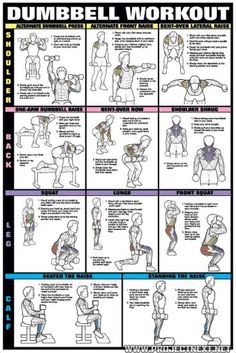 chest workout fitness chart co ed chest workouts workout chest workouts charts