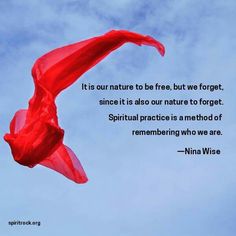 60 Best Dharma Inspiration images 60 Best Dharma Inspiration images
