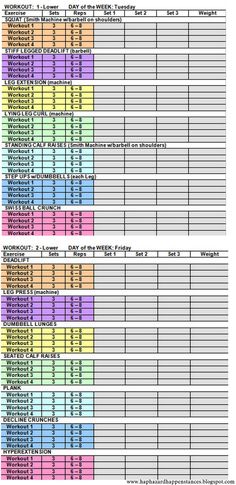 weight lifting logs