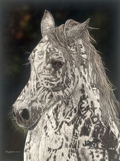 Signed /& Numbered Ltd Edition Print /"Paws And Reflect/" by Judy Larson