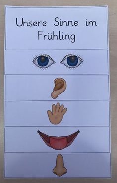 Fingerspiel finger kennenlernen