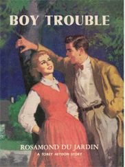High school romance books for young adults