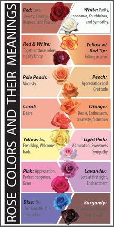 Florist Saigon Rose Color Meanings Rose Colors And Their Meanings You Wouldn T Want To Give Someone A