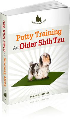Smart Advice For Caring Your Dog Shih Tzu Puppy Tzus And