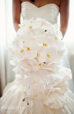 32 Best White Orchid Wedding Images Wedding White Orchids