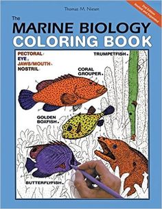 The Marine Biology Coloring Book Second Edition Thomas M Niesen 9780062737182