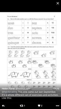 83 best latin images on pinterest teaching latin ancient greece