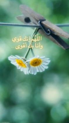 اللهم انك قوي وانا بك اقوى