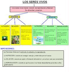 Este Esquema De Los Seres Vivos Ha Sido Creado Con Smart Notebook Clasificacion De Seres Vivos Cuadernos Interactivos De Ciencias Ciencias De La Naturaleza