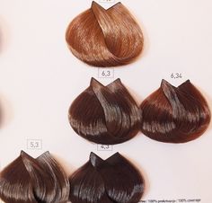majirel l oreal professionnel6 dorati hair color charts majirel l oreal professionnel6 dorati hair color charts majirel l oreal professionnel6 dorati hair color charts majirel l oreal professionnel6 dorati hair color charts
