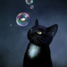 126 best animals bubbles