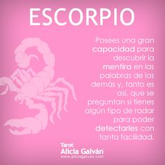 28 Ideas De Escorpio Escorpio Frases De Escorpio Signo Del Zodiaco Escorpio