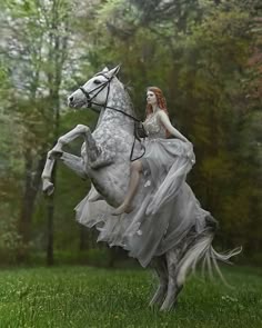 Amanda, A Horse of Course (Wish Fairies Book 1)