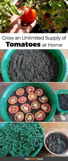 Ingyenes kerekes székkel társkereső oldalak