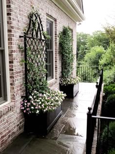 108 Best Wrought Iron Trellis Images 108 Best Wrought Iron Trellis Images