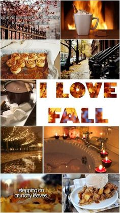 ☮ * ° ♥ ˚ℒℴѵℯ cjf Thanksgiving Crafts, Thanksgiving Wallpaper, Herbst Bucket List, Autumnal Equinox, Enjoy Summer, Happy Fall Y'all