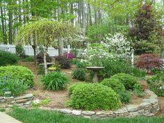 Garden Ideas North Carolina french drain and catch basin. landscape east & west, portland Garden Ideas North Carolina french drain and catch basin. landscape east & west, portland
