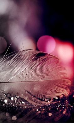 hd mobile wallpapers mobile wallpapers in 2018 pinterest