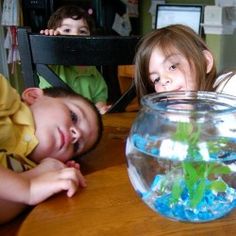 47 best fish tanks