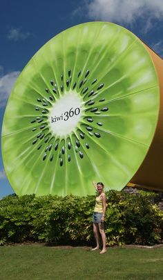 811 best large larger largest images in 2018 roadside