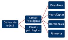 diabetes tipo 1 causas fisiológicas de impotencia diabetes tipo 1 causas fisiológicas de impotencia