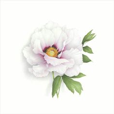 178 best watercolor peonies images on pinterest watercolor