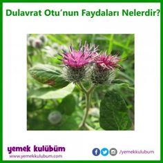1 Dakikada Değişik Bir Saç Modeli Nasıl Yapılır 1 Dakikada Değişik Bir Saç Modeli Nasıl Yapılır