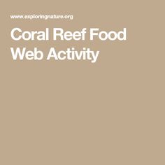 coral reefs food web