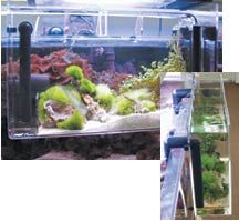 50 best aquariums images