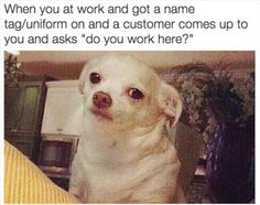 funny pictures of the day 38 pics funny pictures pinterest aa8caff9c97acc6f0790ac03670531e3 work memes work funnies funny pictures of the day 38 pics funny pictures pinterest